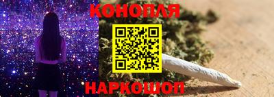Альфа ПВП Малгобек