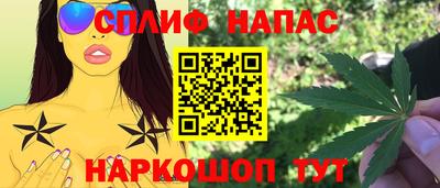 Альфа ПВП Малгобек