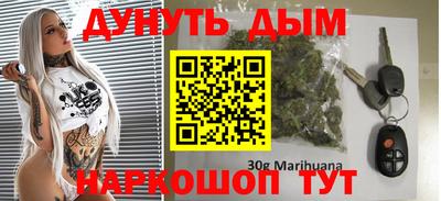 Альфа ПВП Малгобек