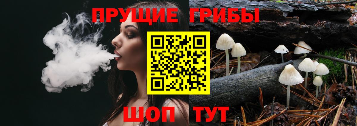 Ессентуки  Галлюциногенные грибы прущие грибы  Галлюциногенные грибы мицелий  Вход с VPN 